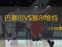  巴塞爾VS塞爾維特